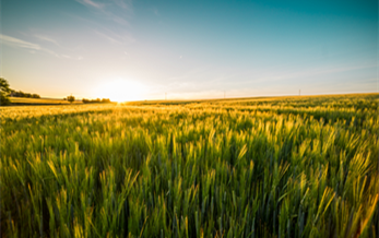 環境（jìng）風險（xiǎn）評（píng）估（gū）標準號