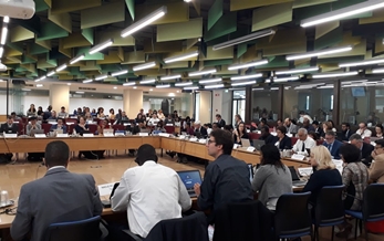 POPRC15和CRC15在意（yì）大利召開