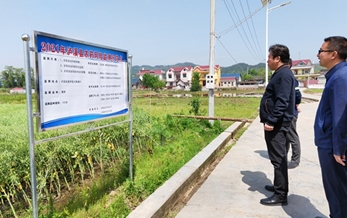 China’s pesticide production went down 0.6% in Oct. 2015