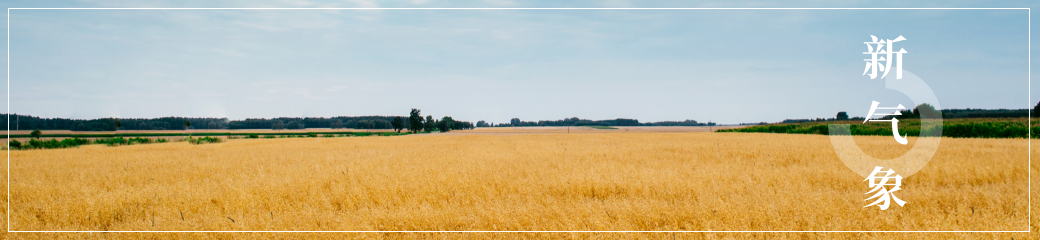 新（xīn）氣象