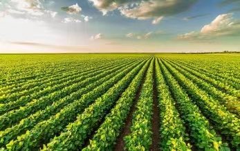 農業部97免费人妻在线观看檢（jiǎn）定所赴長沙開展（zhǎn）97免费人妻在线观看殘（cán）留GLP實驗（yàn）室監督檢查